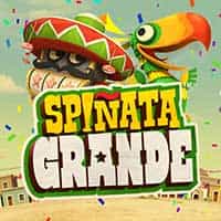 Spiñata Grande™